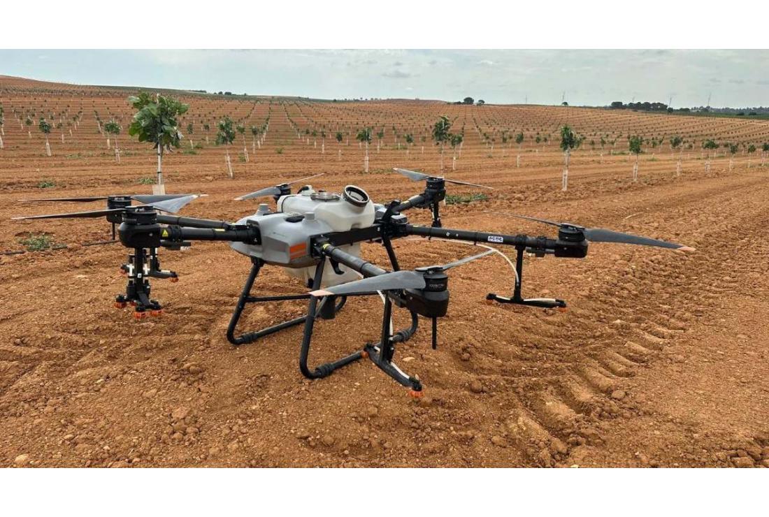 Imagen dron en campo