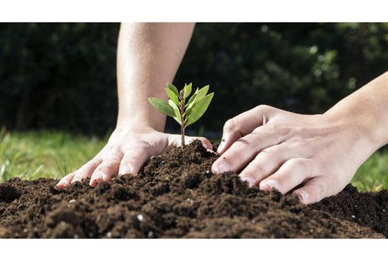 Solicitud de ayuda incorporación de joven agricultor