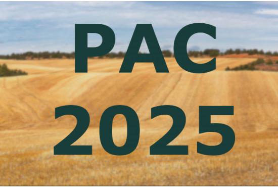 Solicitud de ayuda PAC 2025